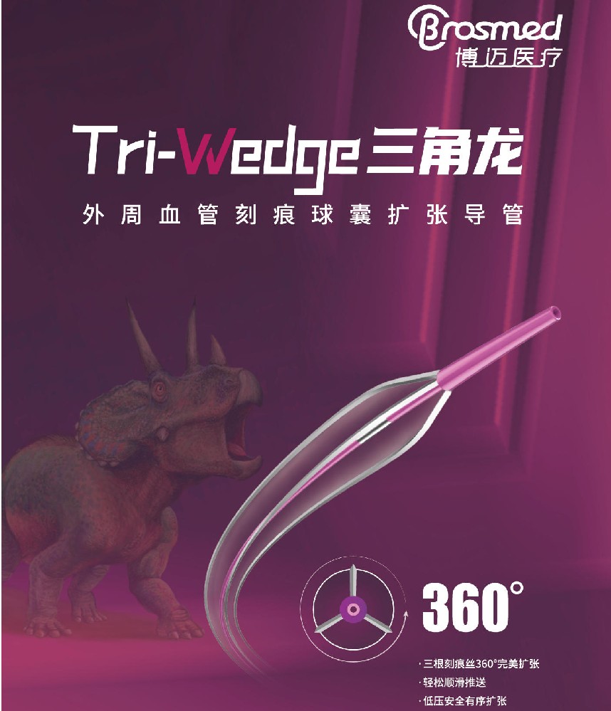 外周血管刻痕球囊扩张导管